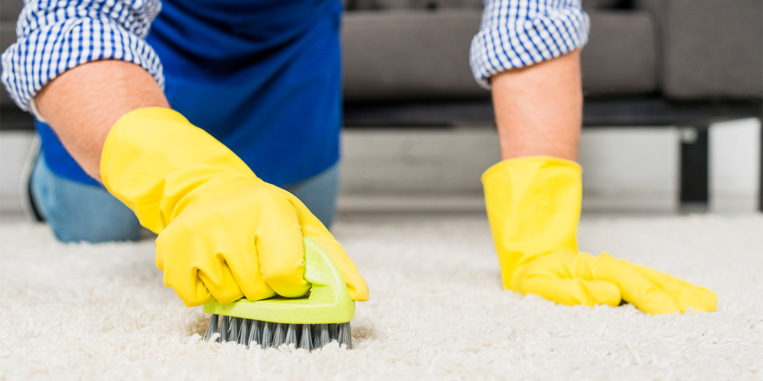 About The Carpet Cleaning Guy Call Today (631) 5882793! Holbrook, NY