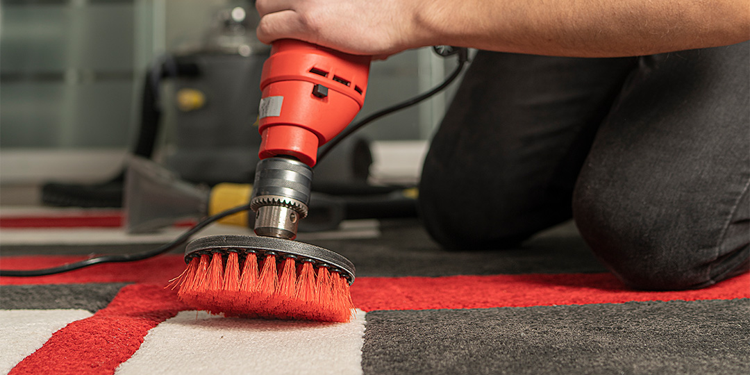 About The Carpet Cleaning Guy Call Today (631) 5882793! Holbrook, NY