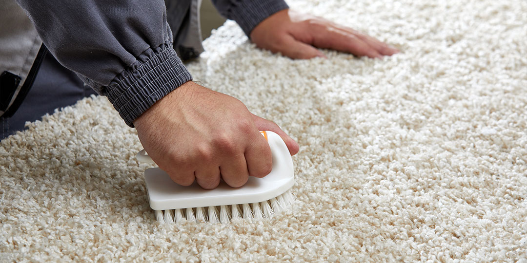 Services The Carpet Cleaning Guy Call Today (631) 5882793